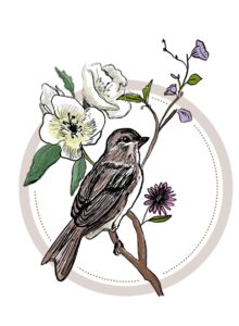 bird and flowers illustration